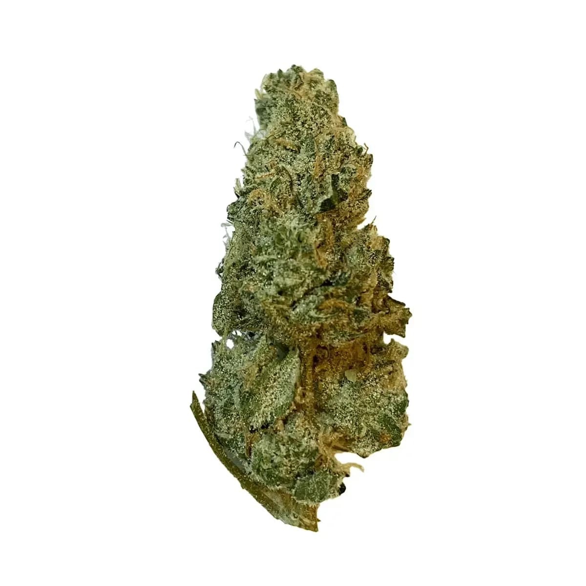 420 Evolution 33/1 CA GMO Cookies