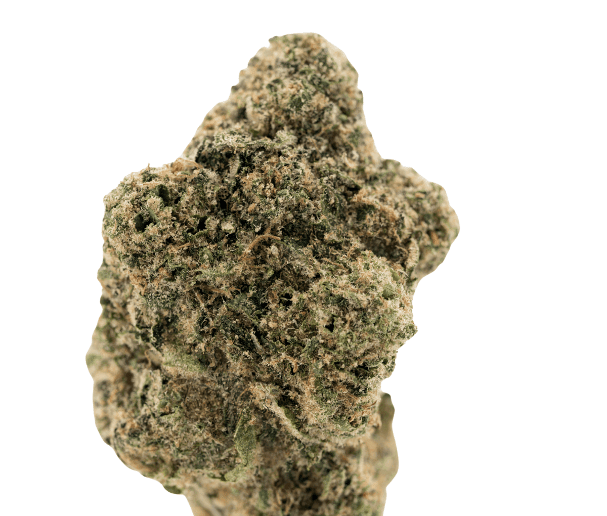 Demecan Craft Magister 26:1 BM - Black Marker Demecan Craft Magister 26:1 BM - Black Marker