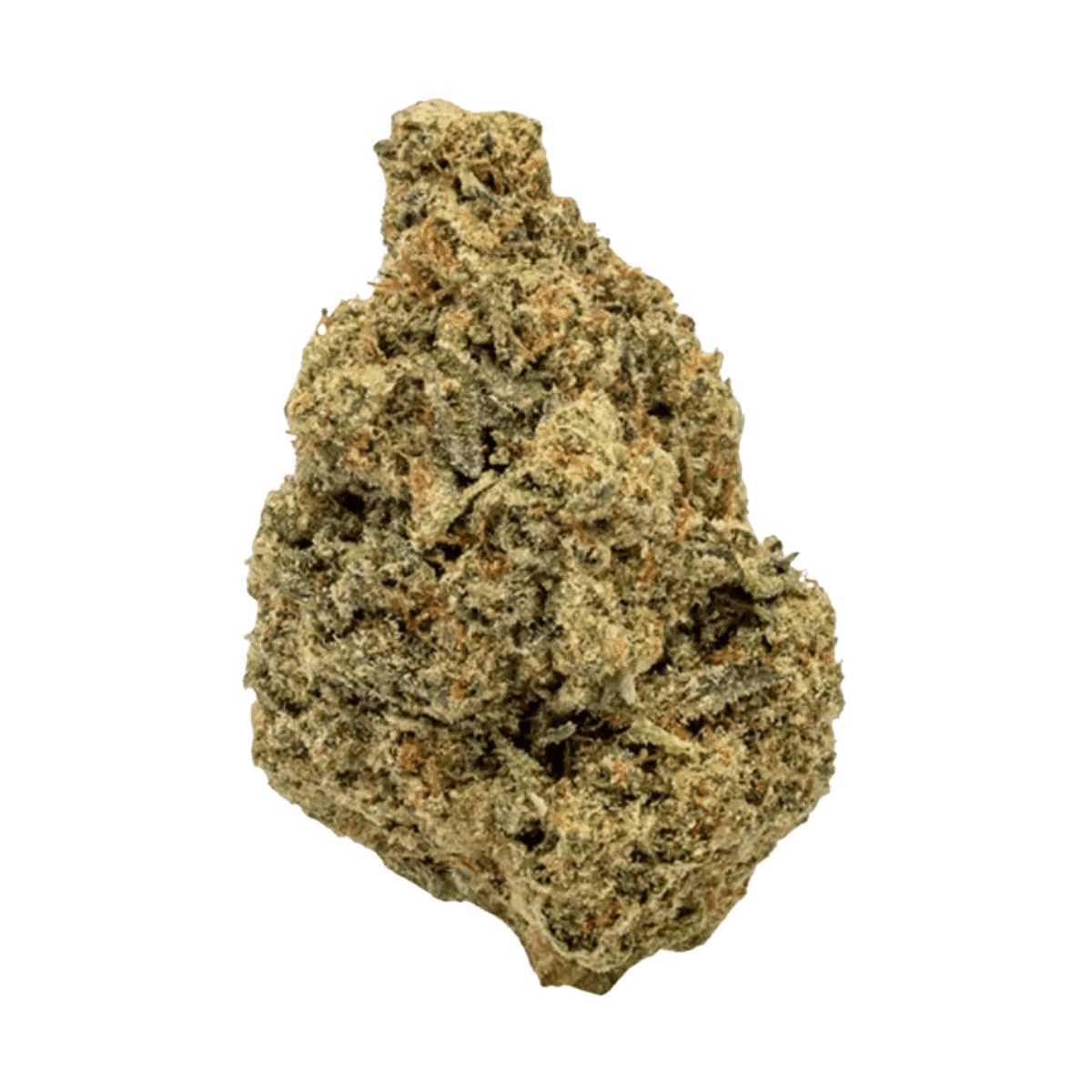 enua 22/1 FD PT - Forbidden Dream enua 22/1 FD PT - Forbidden Dream