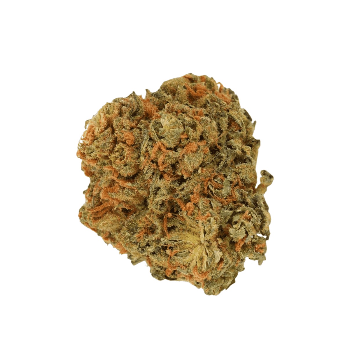 Luana 32/1 Pine - Solpina Magic Luana 32/1 Pine - Solpina Magic