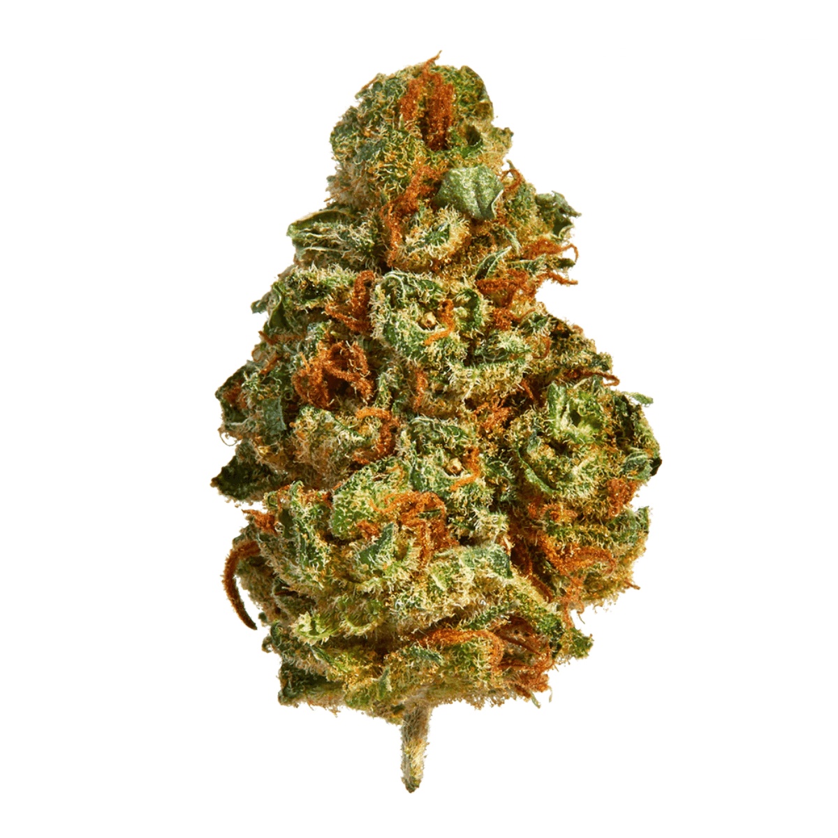 enua 33/1 LHZ CA - Lemonade Haze