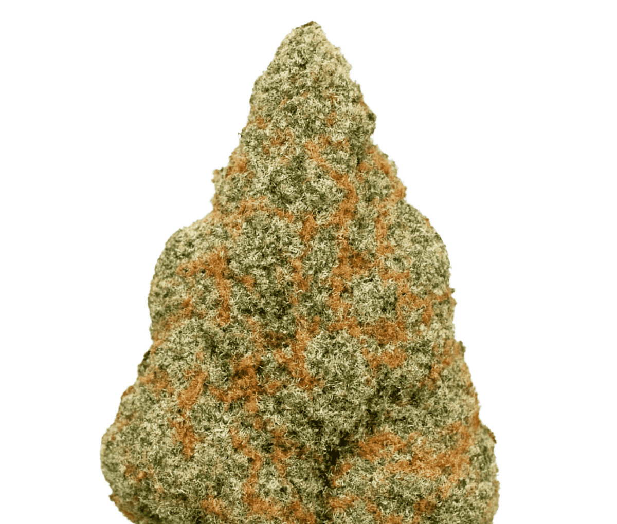 Origine Nature MED 26/1 - Medellin