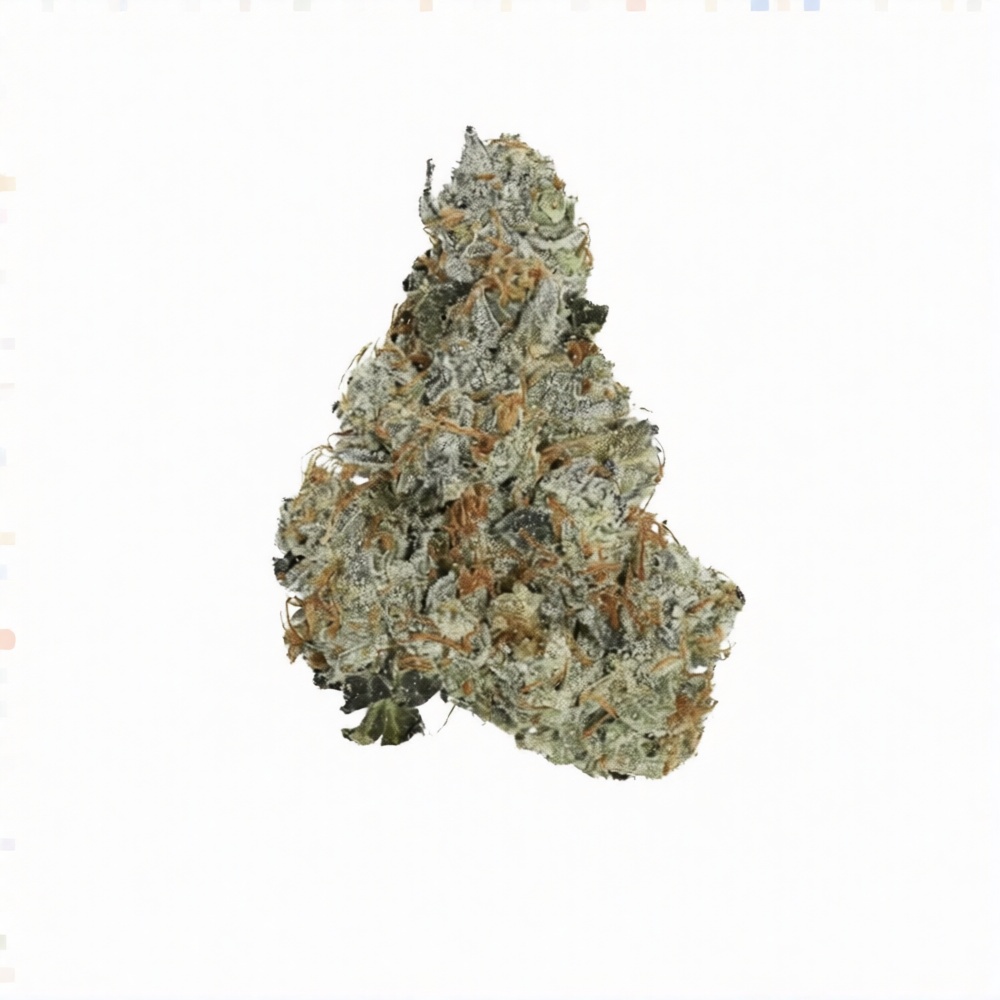 Daily Special 25/1 GMO - OMG GMO Daily Special 25/1 GMO - OMG GMO