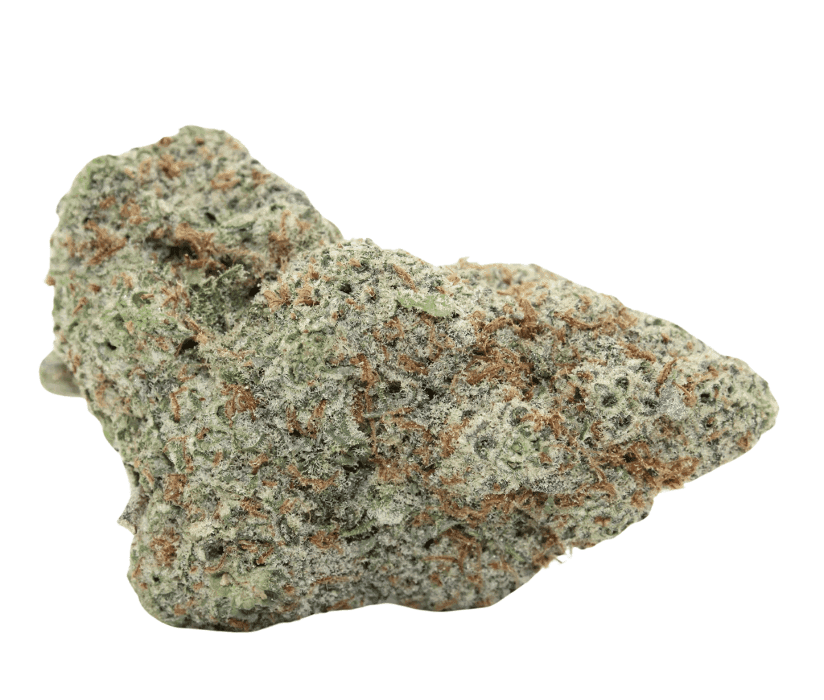 All Nations GM 25/1 - Mac Doughnut All Nations GM 25/1 - Mac Doughnut